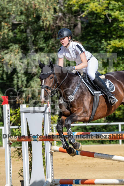 RFV Dinslaken-Hiesfeld (Herbstturnier)