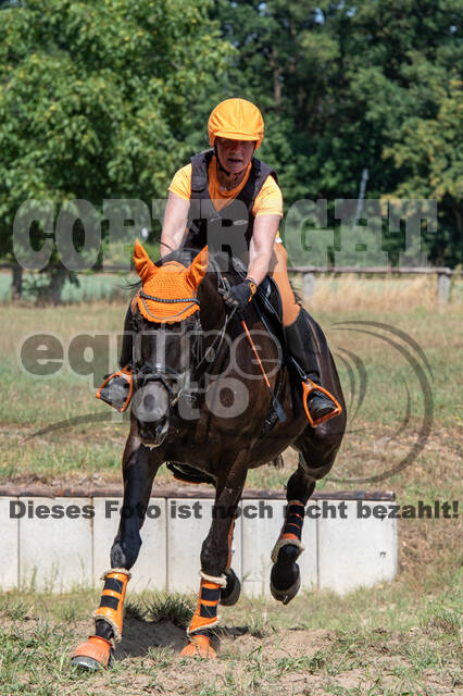 Hunter Geländetraining (16.08.2020)