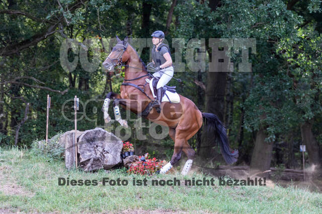 Late-Entry Vielseitigkeit Hamminkeln/Wesel (01.+02.08.2020)