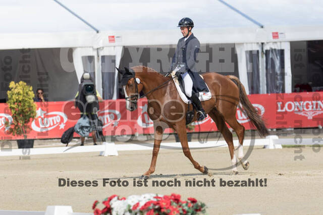 FEI European Championship Eventing 2017