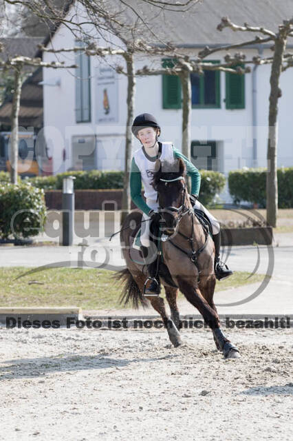 Eventing Langenfeld 2018