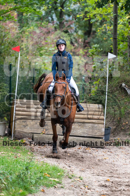 Reiter Schleswig-Holstein