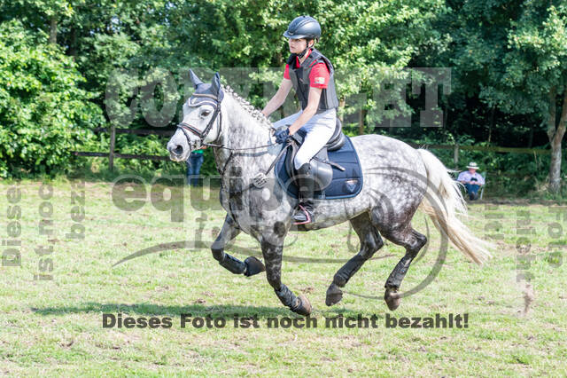 Goldene Schärpe 2021 - Ponys