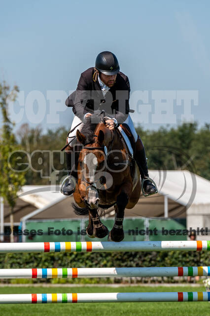 Kronenberg - De Peelbergen (August 2020)