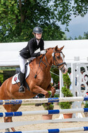 Goldene Schärpe 2021 - Ponys