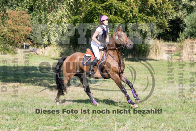 Vielseitigkeitsturnier RSV St. Hubertus Wesel Obrighoven