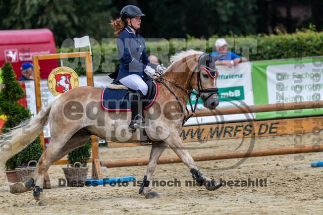 Goldene Schärpe 2021 - Ponys