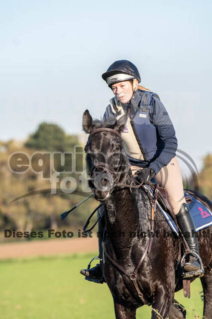 Vielseitigkeitslehrgang mit Jürg Kurbel (9.+10.11.2019)