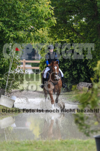 Late-Entry-Vielseitigkeit Langenfeld (11.+13./14.06.2020)