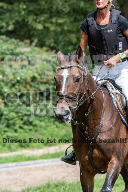 Late-Entry-Vielseitigkeit Langenfeld (06.+07.07.2020)