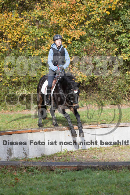 IGV Lehrgang der Sieger der Cups mit Frank Ostholt