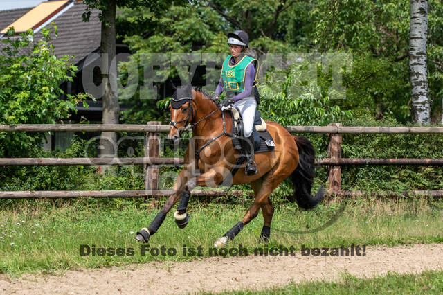 Late-Entry-Vielseitigkeit Gahlen (18.07.2020)