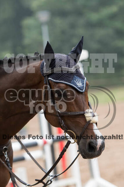 RFV Bad Honnef