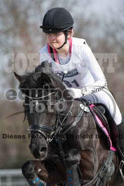 Eventing Langenfeld 2018