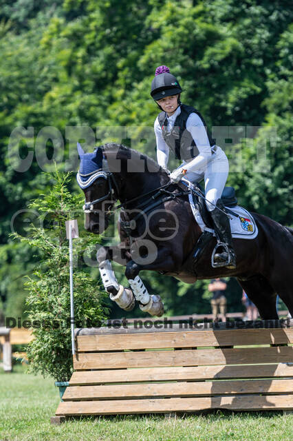 Goldene Schärpe 2021 - Ponys