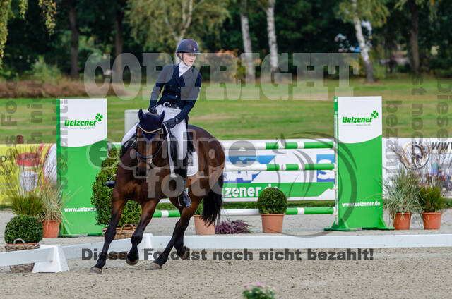 Deutsche Meisterschaft Vielseitigkeit (Luhmühlen)