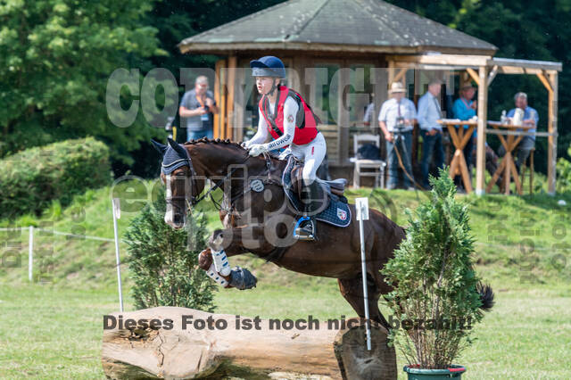 Goldene Schärpe 2021 - Ponys