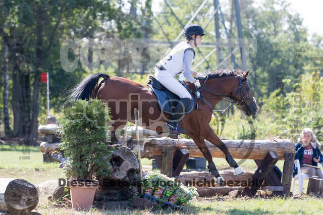 Vielseitigkeitsturnier RSV St. Hubertus Wesel Obrighoven