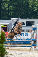 Goldene Schärpe 2021 - Ponys