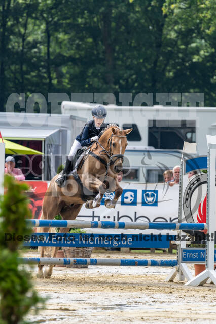 Goldene Schärpe 2021 - Ponys