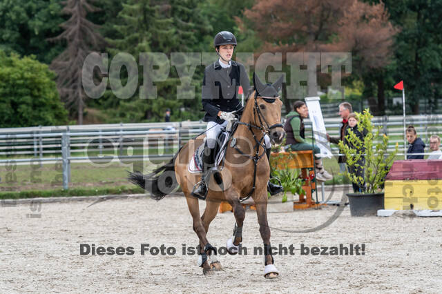 Late-Entry-Vielseitigkeit Langenfeld (06.+07.07.2020)