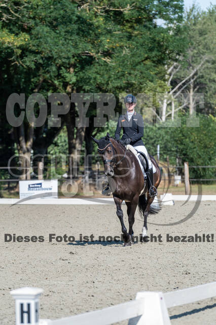 Kronenberg - De Peelbergen (August 2020)