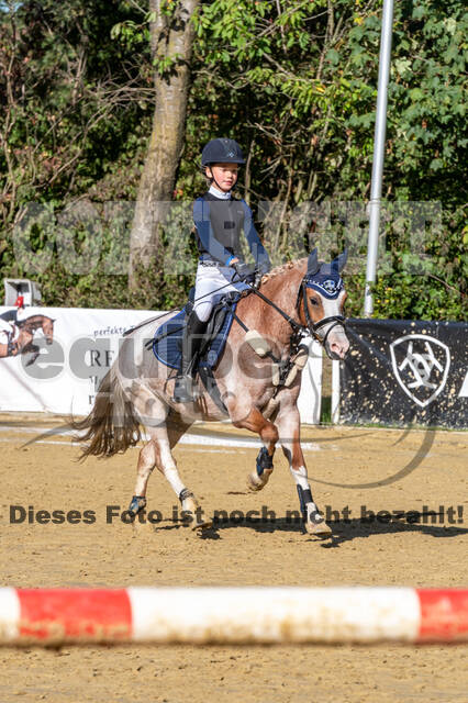 RFV Dinslaken-Hiesfeld (Herbstturnier)