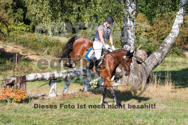 Vielseitigkeitsturnier RSV St. Hubertus Wesel Obrighoven