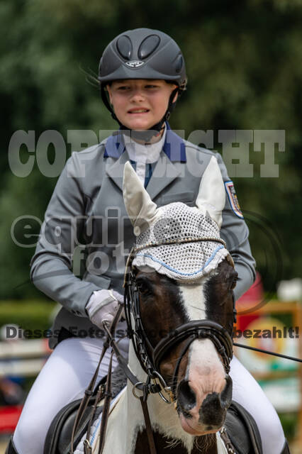 Goldene Schärpe 2021 - Ponys