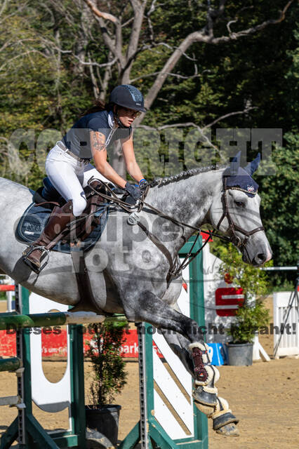 RFV Dinslaken-Hiesfeld (Herbstturnier)