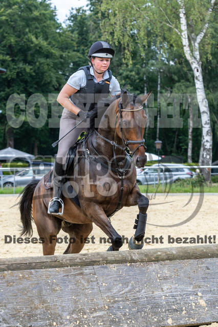 Hunter Geländetraining 10.07.2021 (Sonsbeck)