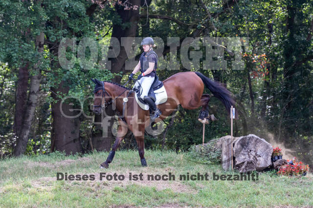 Late-Entry Vielseitigkeit Hamminkeln/Wesel (01.+02.08.2020)