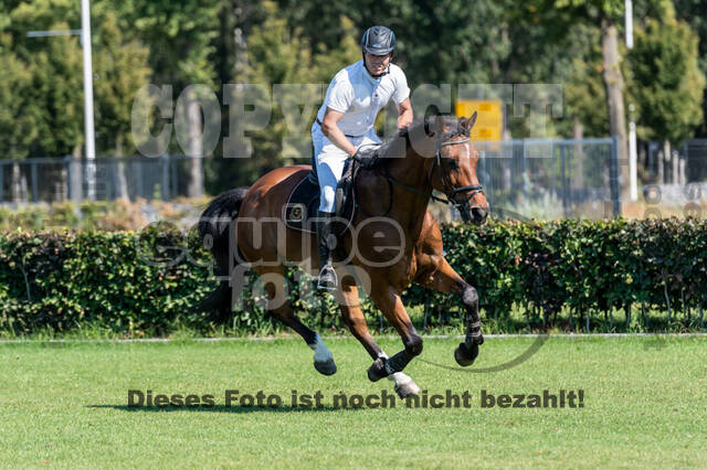 Kronenberg - De Peelbergen (August 2020)