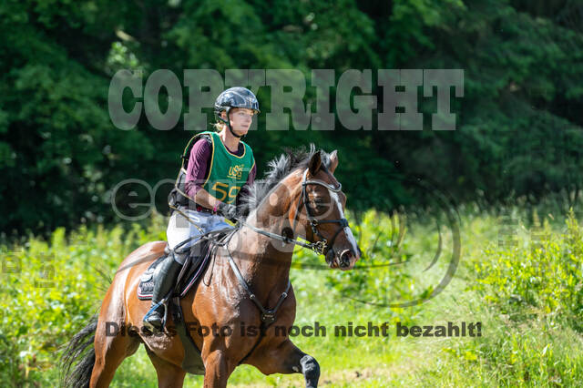 Westerstede Horse Trials (10.-13.06.2021)