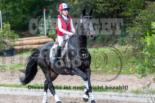 Goldene Schärpe 2020 - Pferde