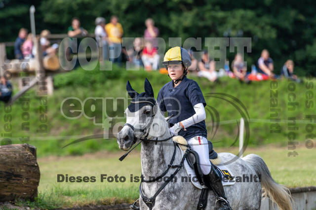 Goldene Schärpe 2021 - Ponys