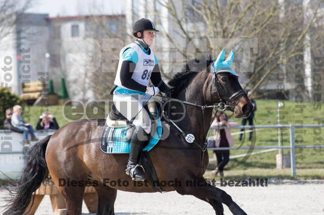 Eventing Langenfeld 2018