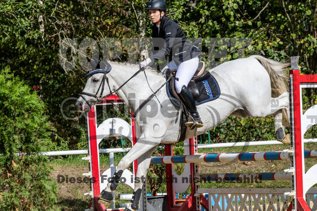 RFV Dinslaken-Hiesfeld (Herbstturnier)