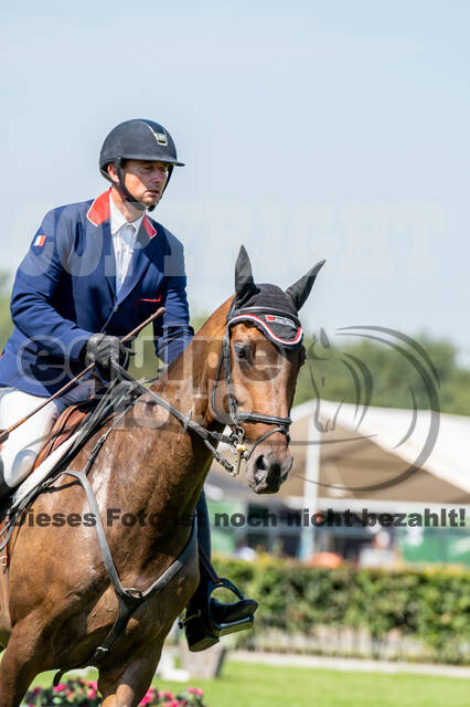 Kronenberg - De Peelbergen (August 2020)