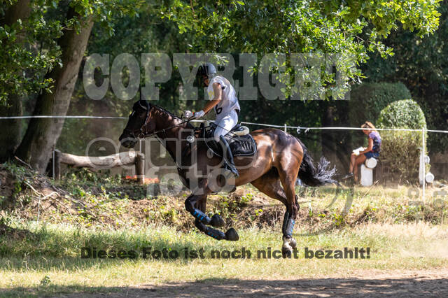 Late-Entry Vielseitigkeit Hamminkeln/Wesel (01.+02.08.2020)