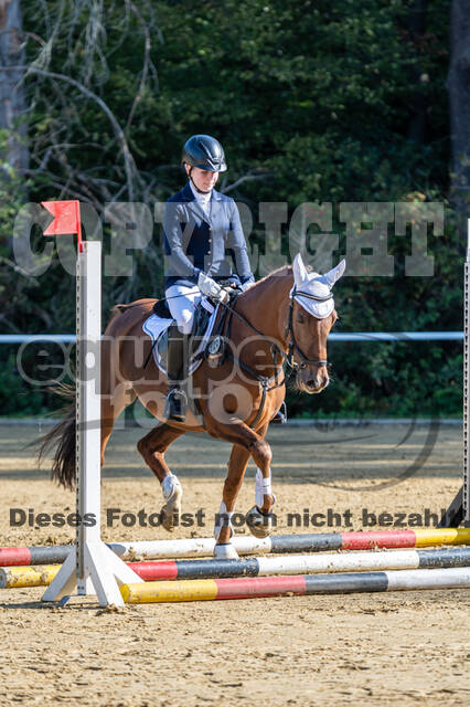 RFV Dinslaken-Hiesfeld (Herbstturnier)