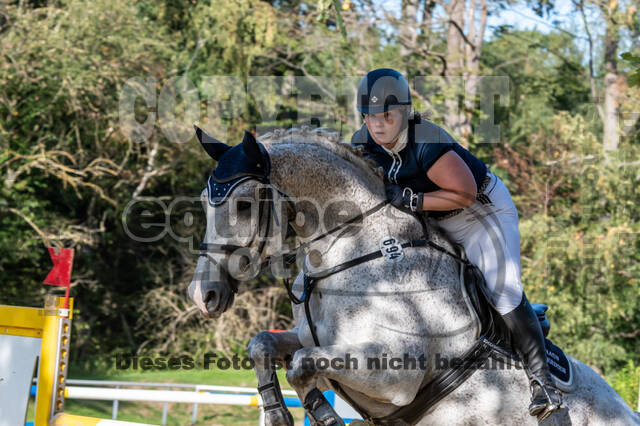 RFV Dinslaken-Hiesfeld (Herbstturnier)