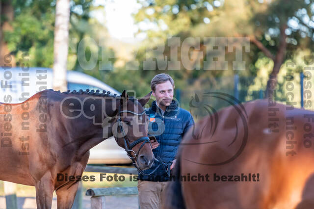 Deutsche Meisterschaft Vielseitigkeit (Luhmühlen)