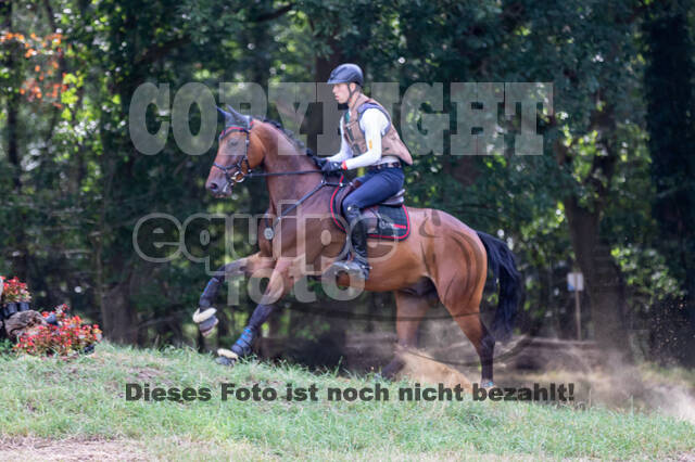 Late-Entry Vielseitigkeit Hamminkeln/Wesel (01.+02.08.2020)