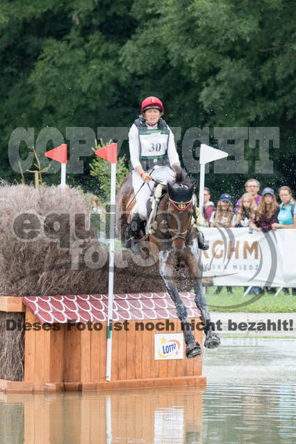 FEI European Championship Eventing 2017