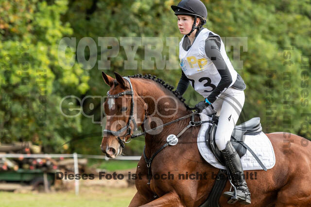 Vielseitigkeit RSV Wesel Obrighoven (26.+27.09.2020)