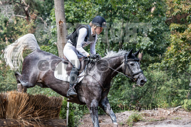 De Peelbergen (August 2020)