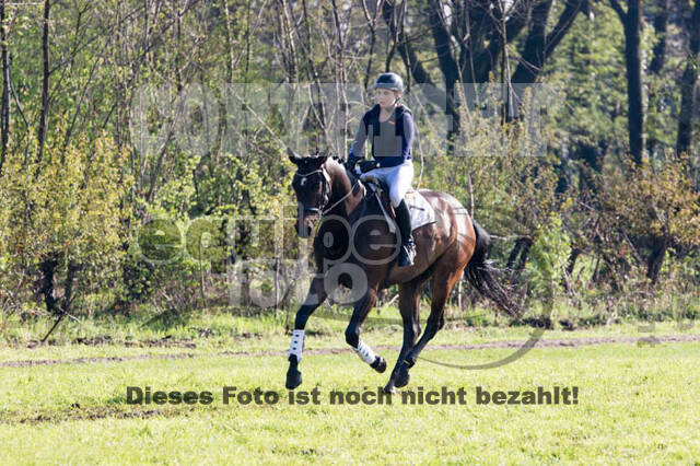 Vielseitigkeitsturnier RV Lippe-Bruch-Gahlen