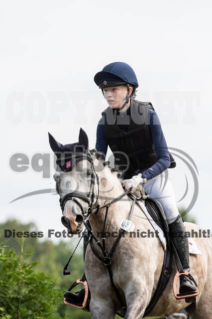 Goldene Schärpe 2021 - Ponys