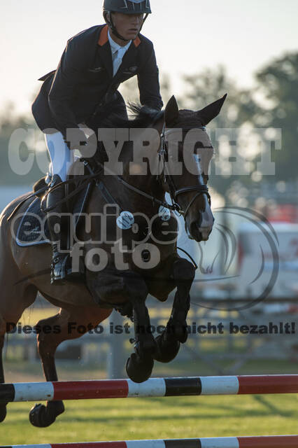 De Peelbergen (August 2020)